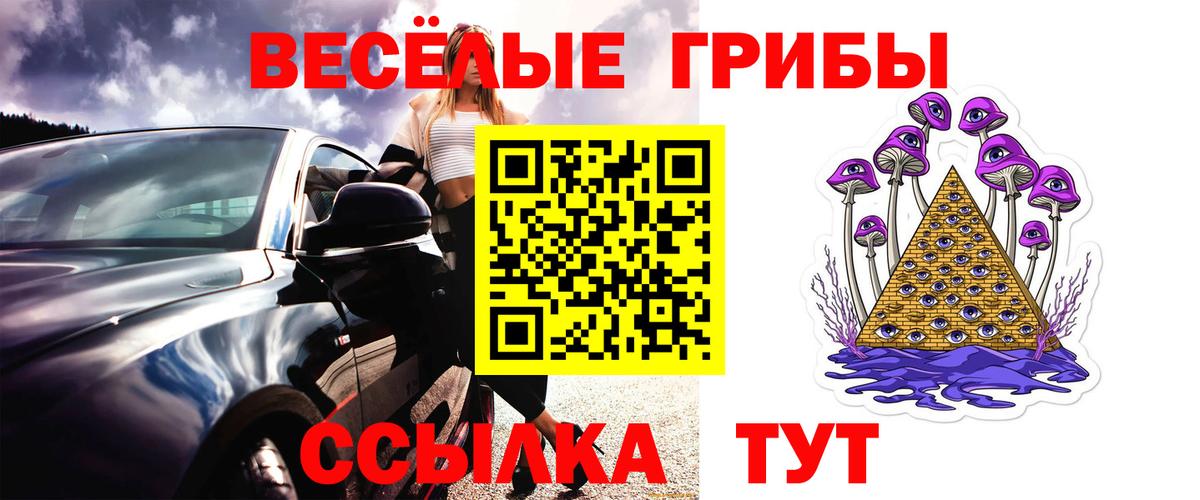 Псилоцибиновые грибы Magic Shrooms Альметьевск