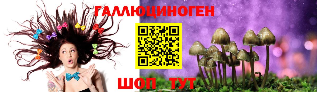Альметьевск  Галлюциногенные грибы мухоморы  Вход с VPN 